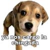 emms_sa._