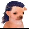 osvaldo7u7r