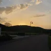 thesa_1234