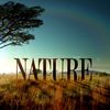 pbsnature