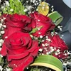 yalniz_866