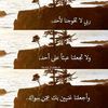 shere015
