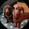 mollydolly235