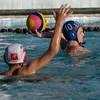 lucca_wp10