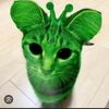 defnothademo