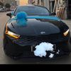 yasmeen4901