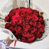 tahani_068