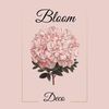 Bloom déco & Location