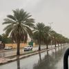 salemqaradi2
