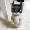 edgarqvs