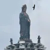 duongphatan