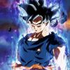 luisr_1202