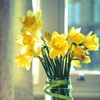 floral tutorial
