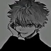 hshshs_edits