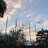 sm_sng03