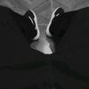 kevinsalinas07a