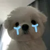 myloveis__9