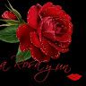 laflormasbella01