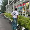 ysfsyhrl
