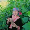 rachanha_