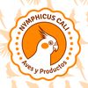 nymphicuscali