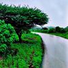 abdalrh505