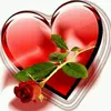 user40741688095