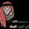‍✍ ͜℘آلآســــــطـ᭄☪︎ــــــؤر𝄞
