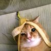 4ryxuu