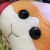 error__display