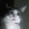 smplydelicious