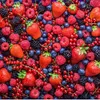 frutasberga