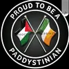 free_palestineirish