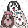 Delicinhas de Shihtzu