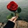um_ammaar290220