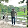 arifai_stp