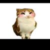 pussy0712