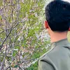 _jiol