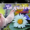 damianbotello767