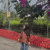 ammyyyf_