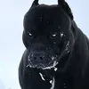 matias111110