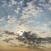 aliaa_770