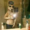 dennis_ch00