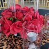 bellaloveevents