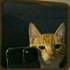 _josue062