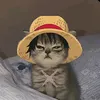 yohann_nielle