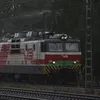 deevee_dv12
