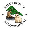 kiloybunny.bonsai2