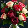 zohaibali78633