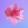 satsuki_azalea_journal